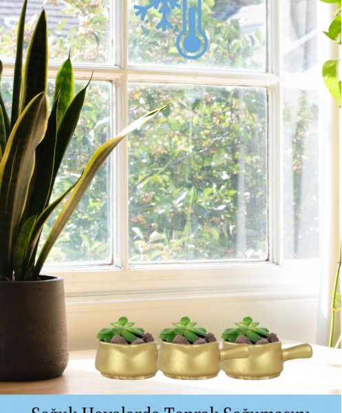Mini Çiçek Saksı Küçük Sukulent Altın Kaktüs Saksısı 3lü Set Mini Tava Model